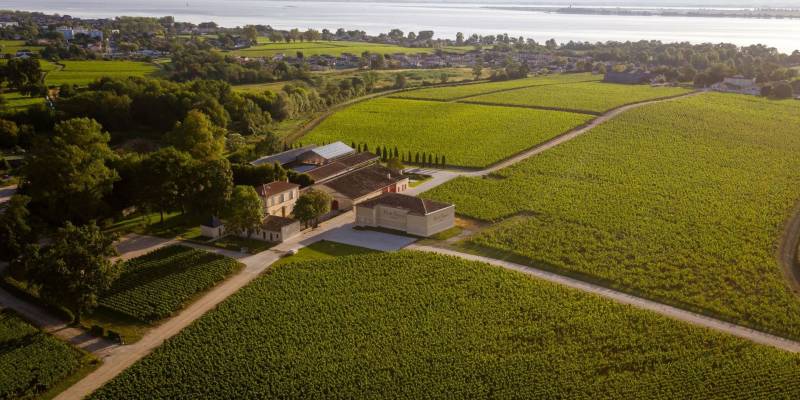 Crédit photo Château Haut-Bages Libéral