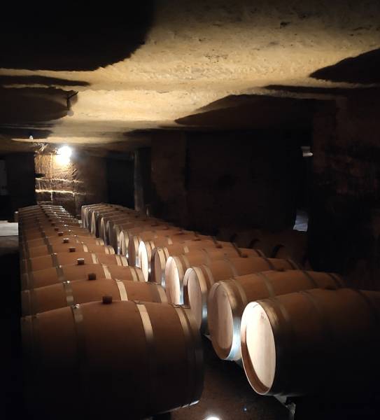 Visite du vignoble de Saint Emilion - les caves troglodytes