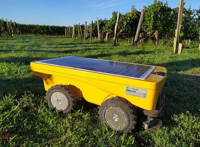 Travaux dans les vignes au robot - Modernité