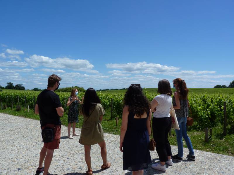 Portes Ouvertes au Château Haut Bages Libéral