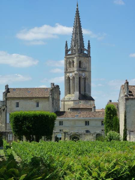 Visite du vignoble de Saint Emilion