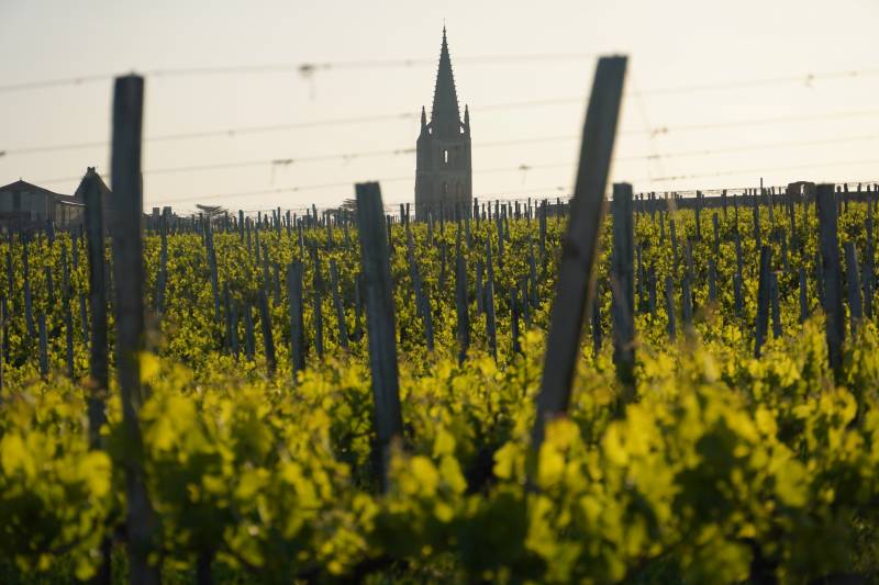 Circuit sur mesure dans le vignoble de Saint Emilion